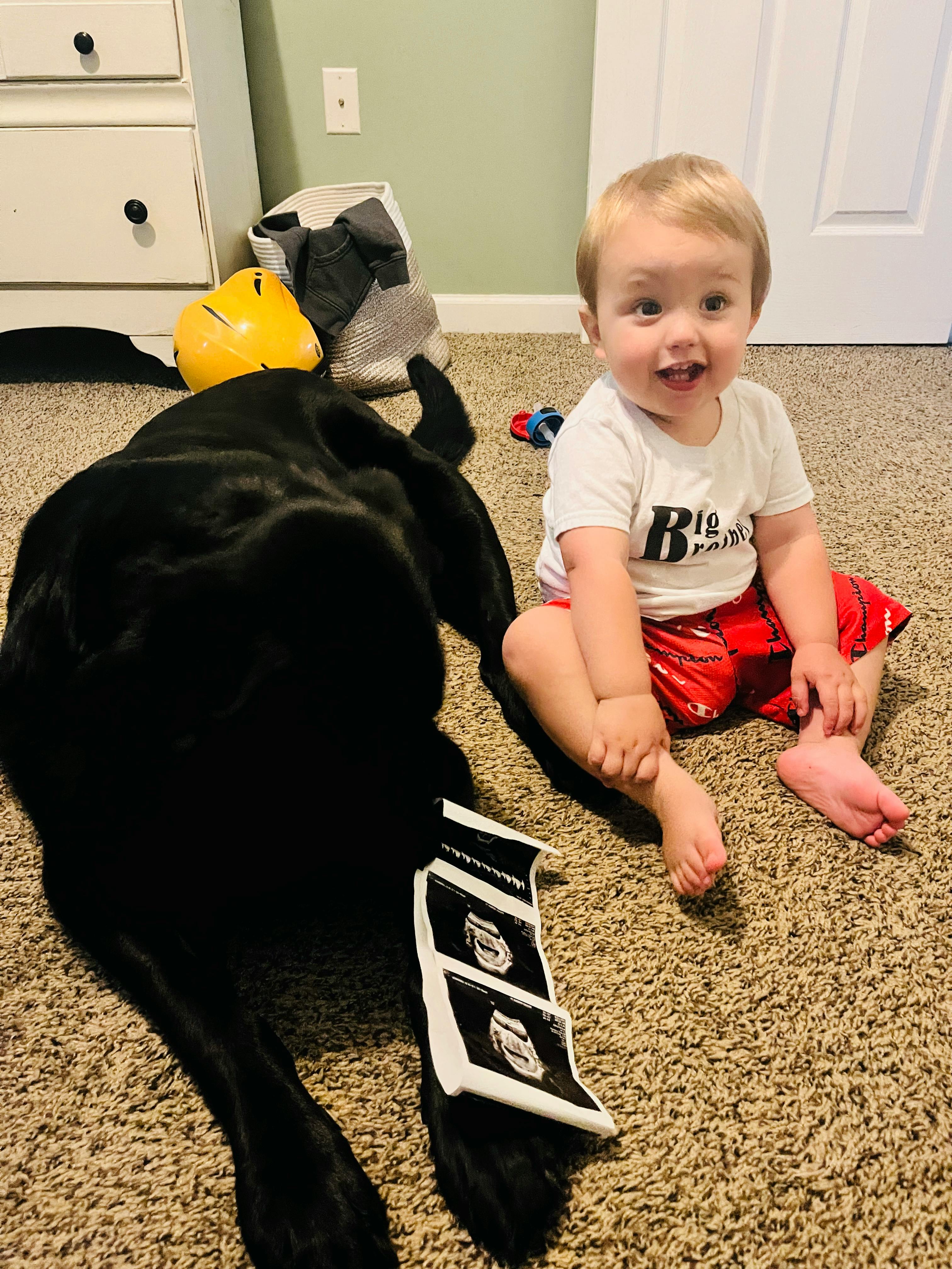 Child sitting on carpet next to a black dog