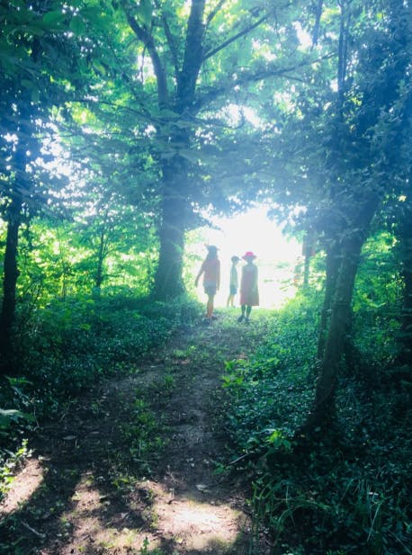Three children walking on a path through a forest