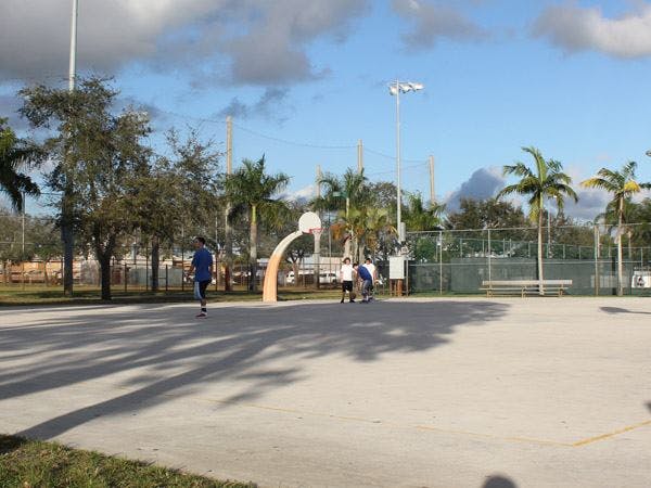 People on a basketball court with palm trees