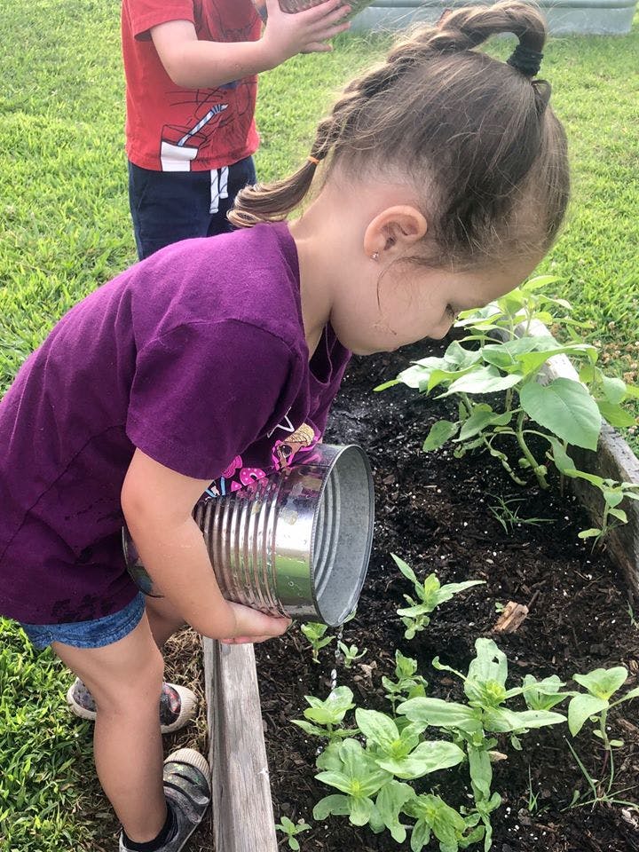 Child watering plants in a garden bed with a metal can