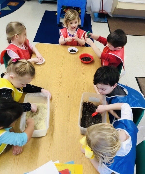 Primrose School of Noblesville Daycare in Noblesville, IN Winnie