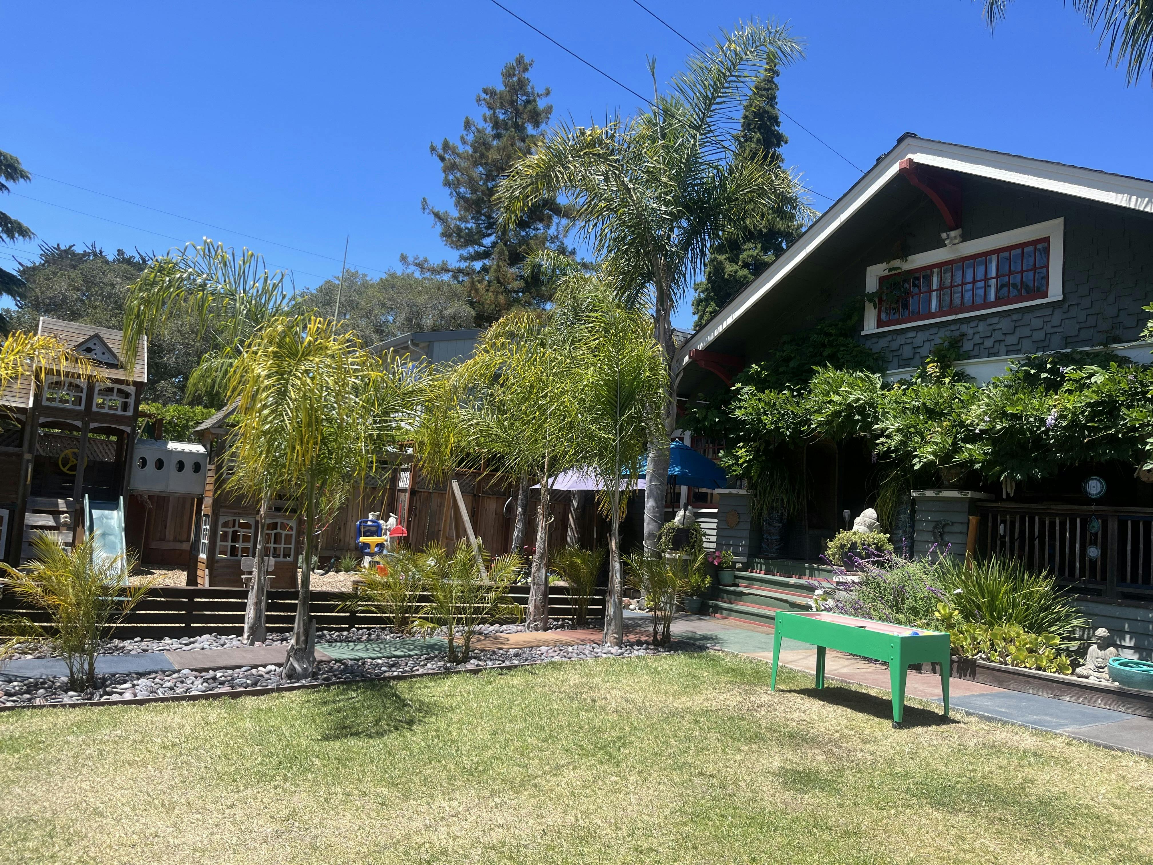 House with a green lawn and palm trees in front