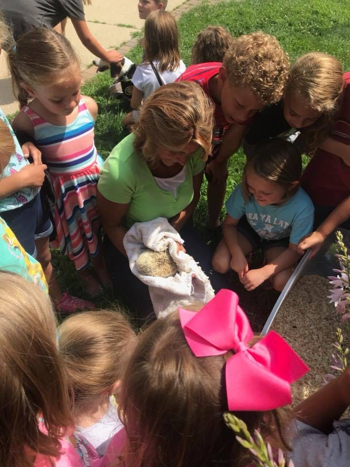 Adult holding an animal wrapped in a towel surrounded by children
