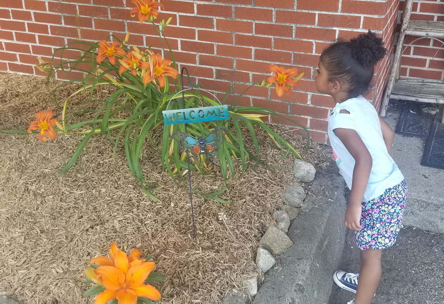 Child looking at flowers in a garden bed