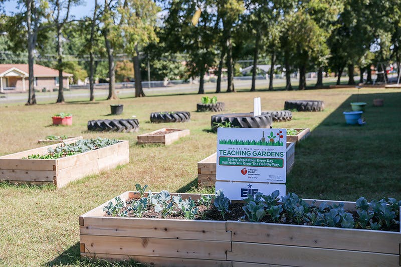 Raised garden beds with plants and a sign for "Teaching Gardens"