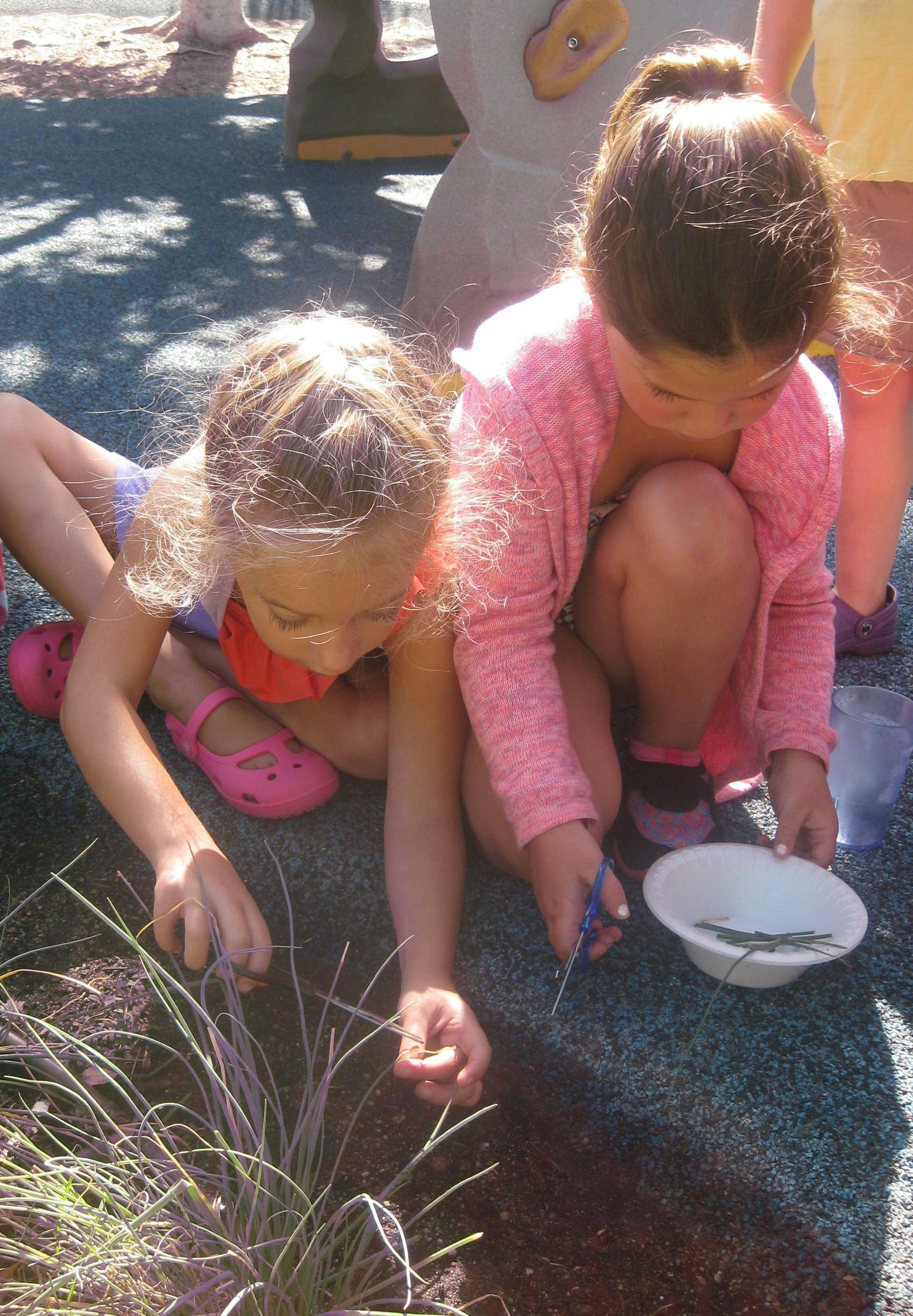 Two children on the ground, one cutting plant material into a bowl