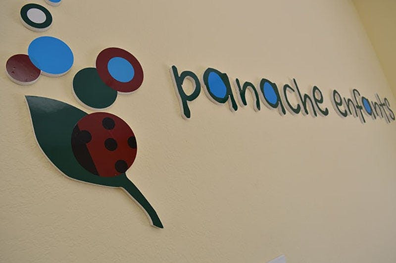 Wall decoration with a ladybug on a leaf and the words panache enfants