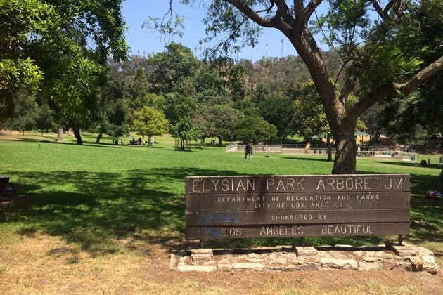 Elysian Park Arboretum sign in front of a grassy park with trees