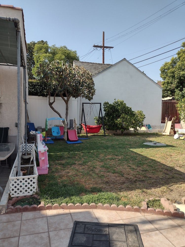 Backyard with grass, tree, and children's play equipment