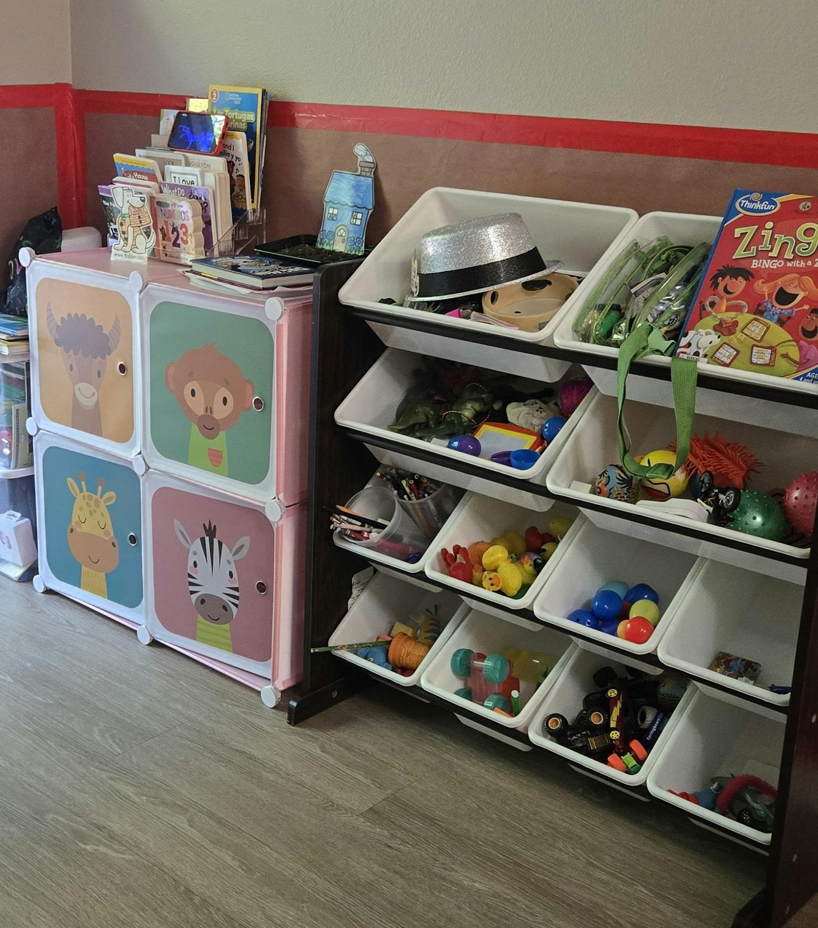 Children's storage units filled with books and toys