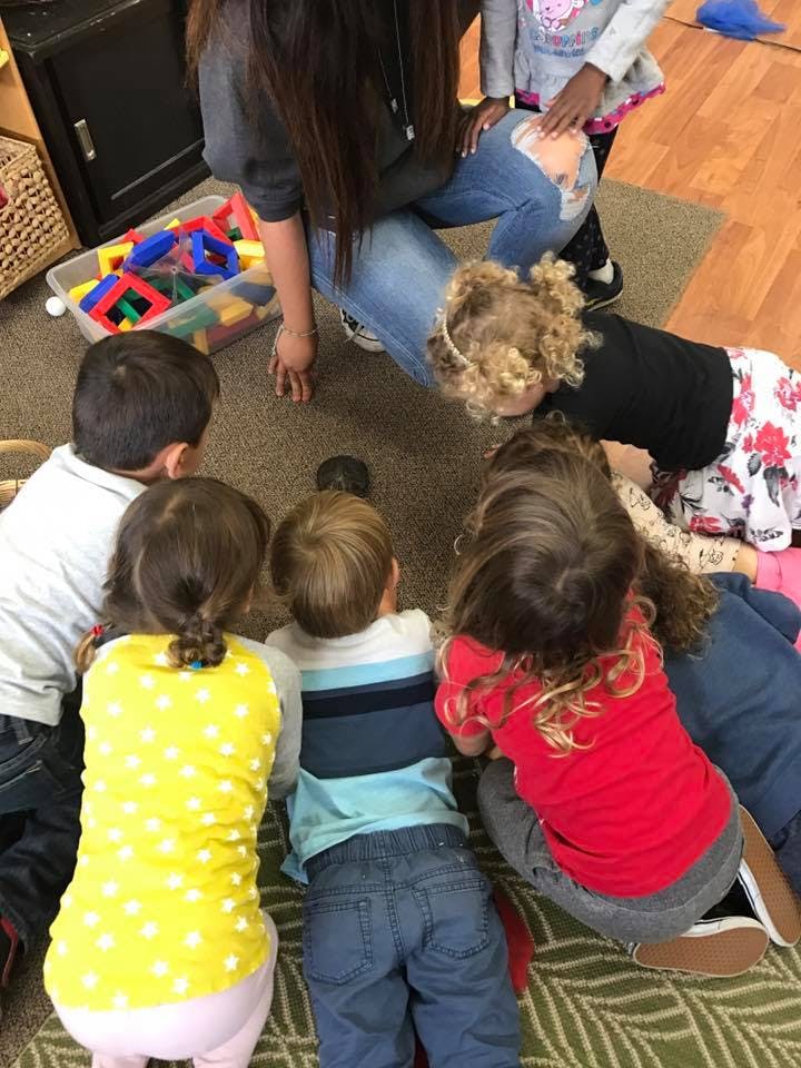 Adult and multiple children on the floor looking at something