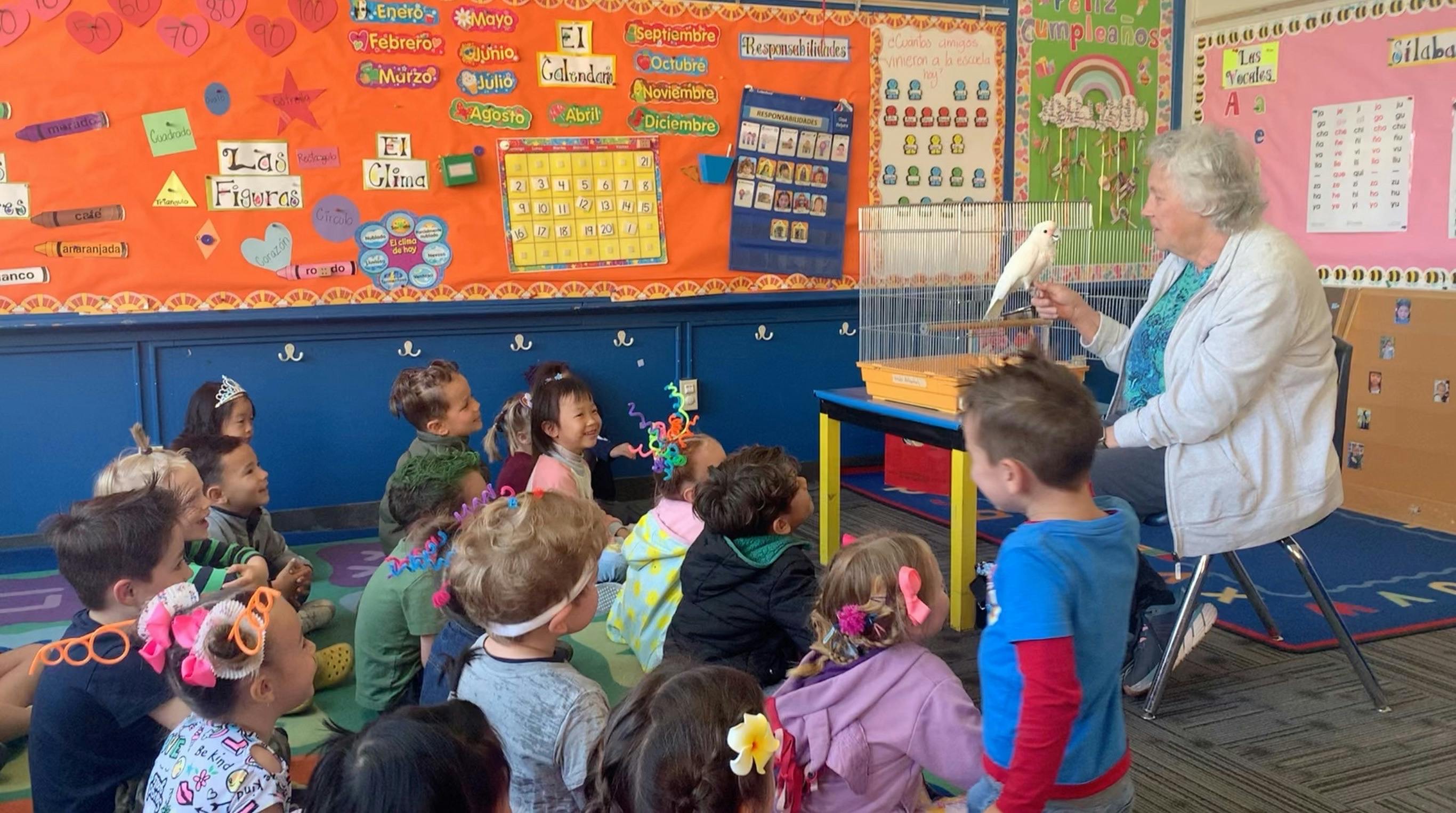 Person showing a bird in a cage to a group of children in a classroom