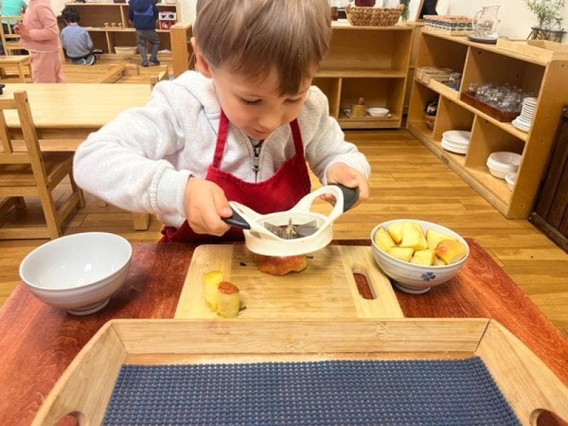 Child in apron using an apple slicer on a cutting board in a classroom