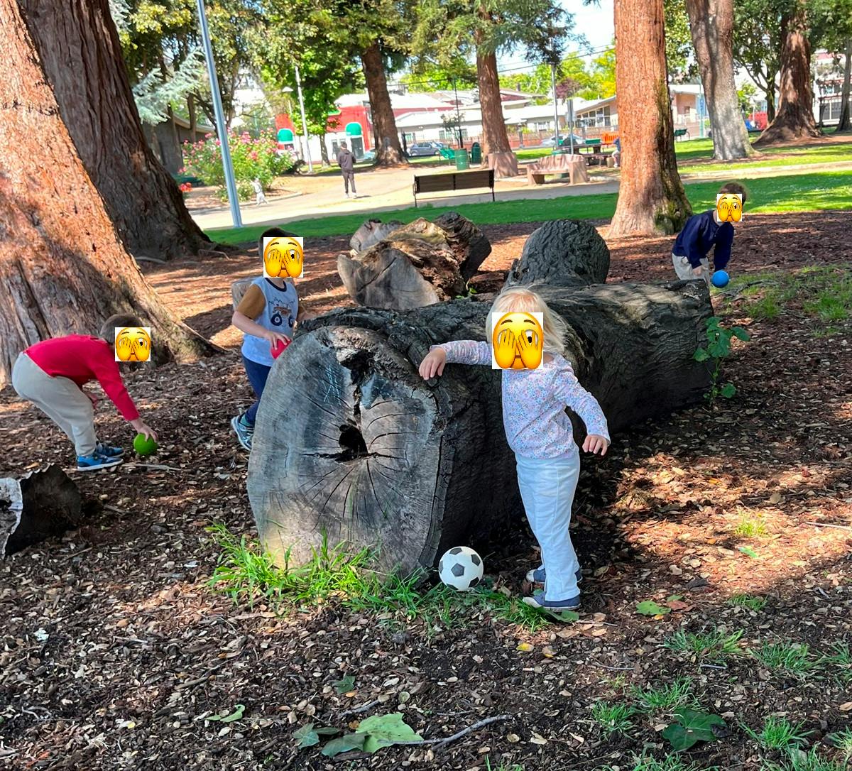 Children playing with balls around a fallen log in a park