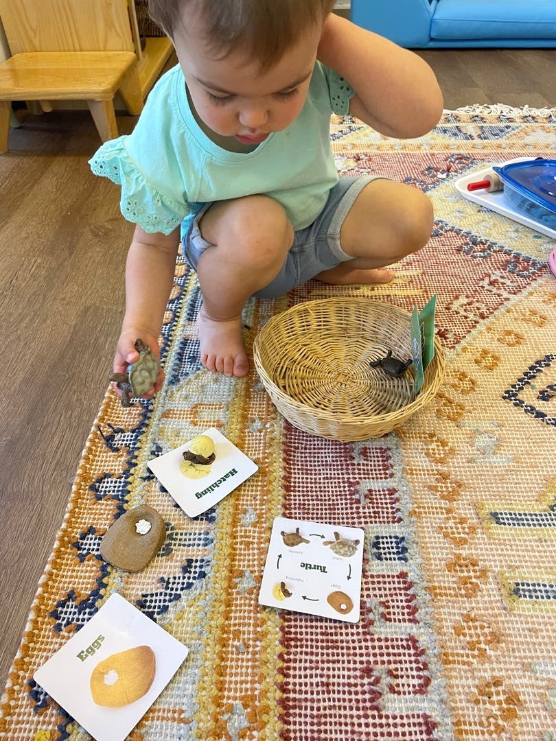 Child playing with cards and a basket on a patterned rug