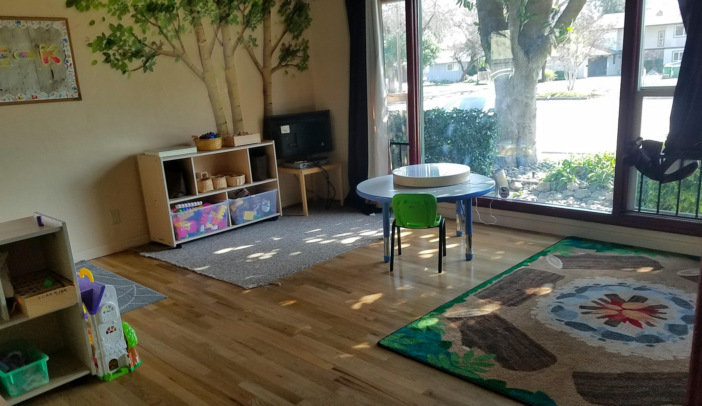 Playroom with tree mural, shelves, small table and chair, and rugs