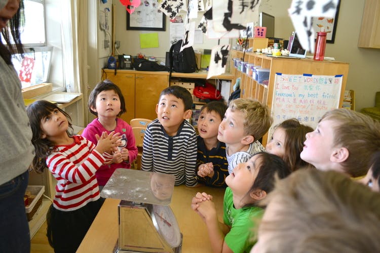 Presidio Knolls School - Preschool in San Francisco, CA - Winnie