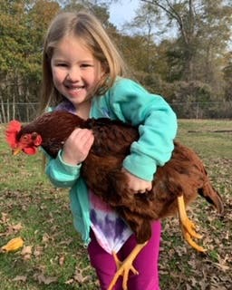 Child holding a chicken