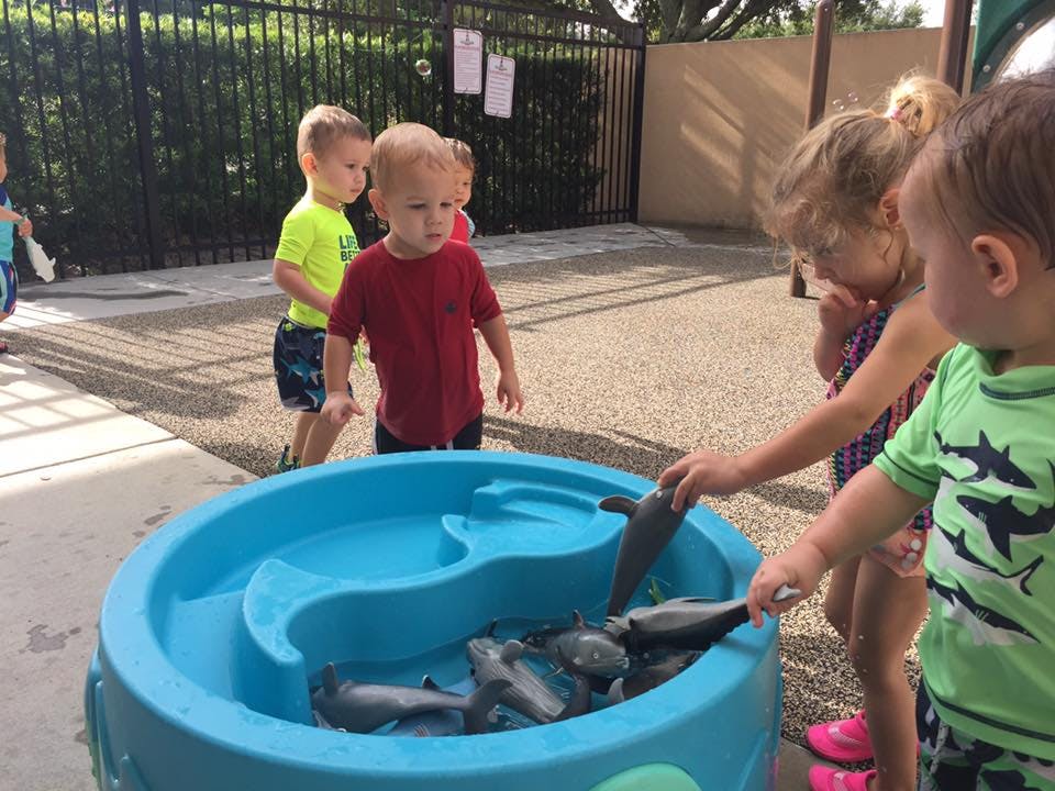 Children playing with toy fish in a water table