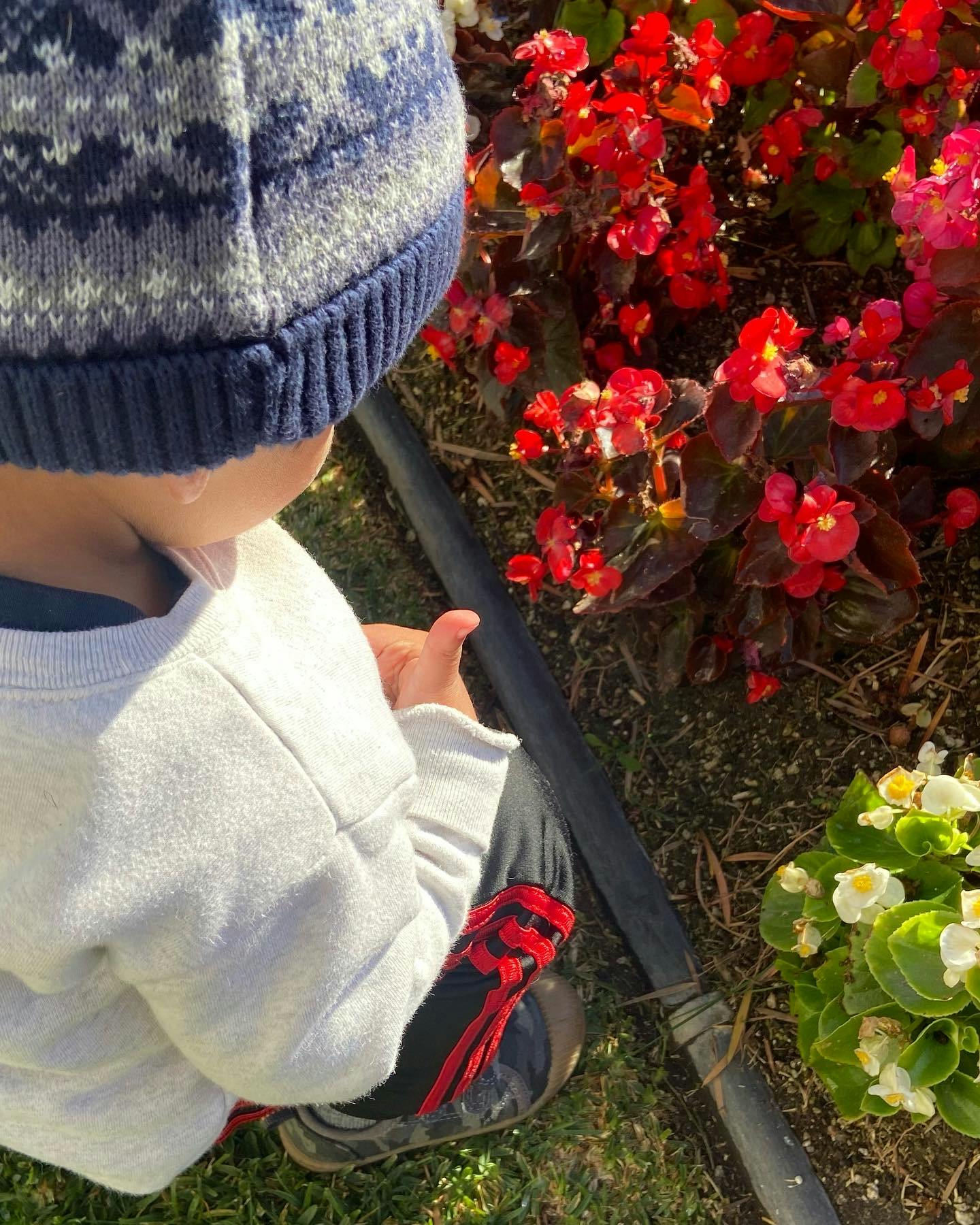 Child in a knit hat looking at red flowers