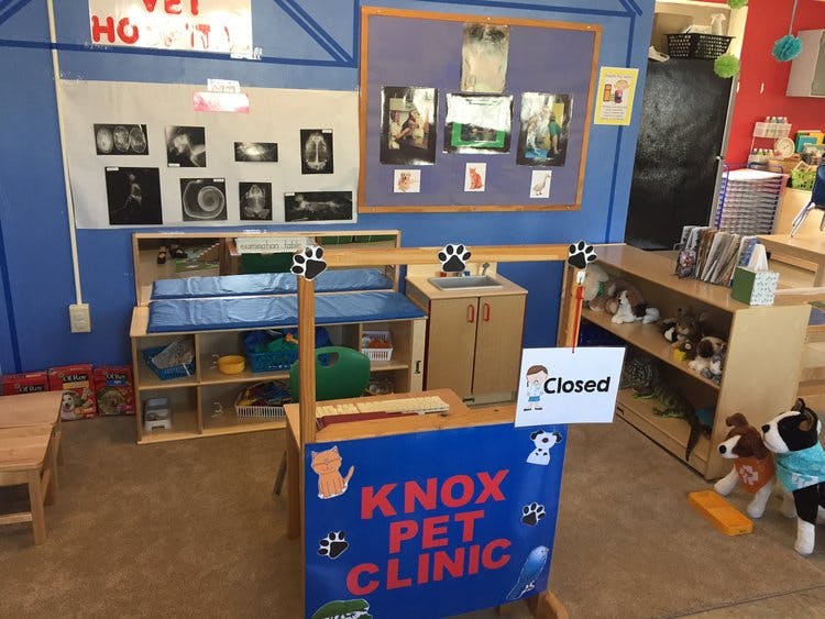 Play vet clinic with "Knox Pet Clinic" sign and stuffed animals