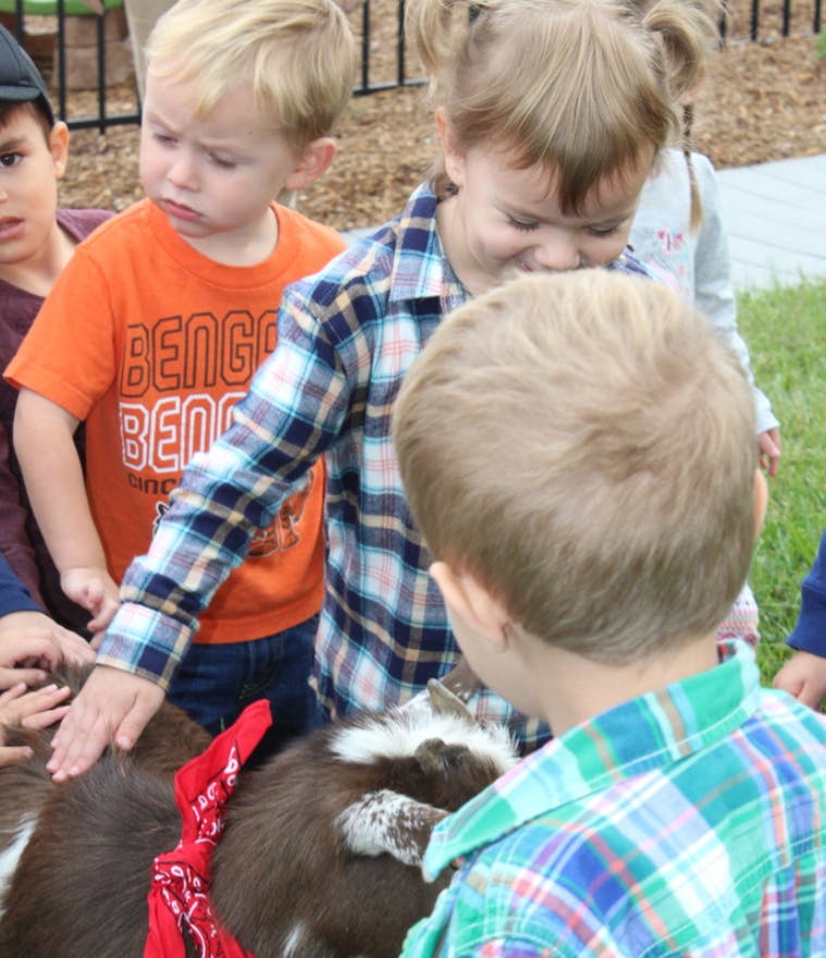 Children petting a goat