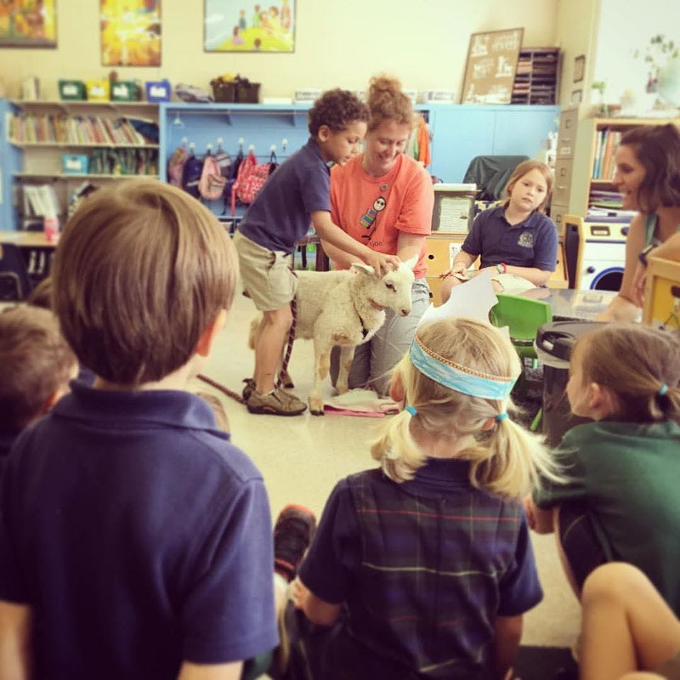 Adult and child petting a goat in a classroom with other children watching
