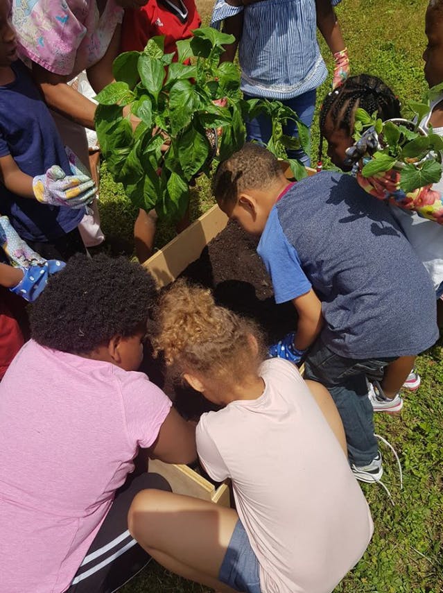 Children planting in a garden bed of soil in a wooden box