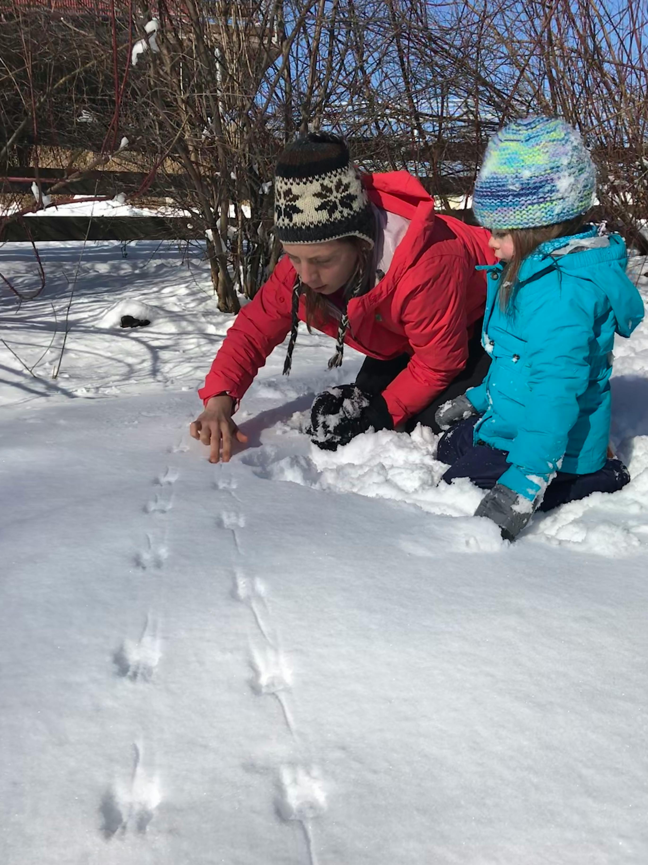 Person and child kneeling in snow looking at animal tracks