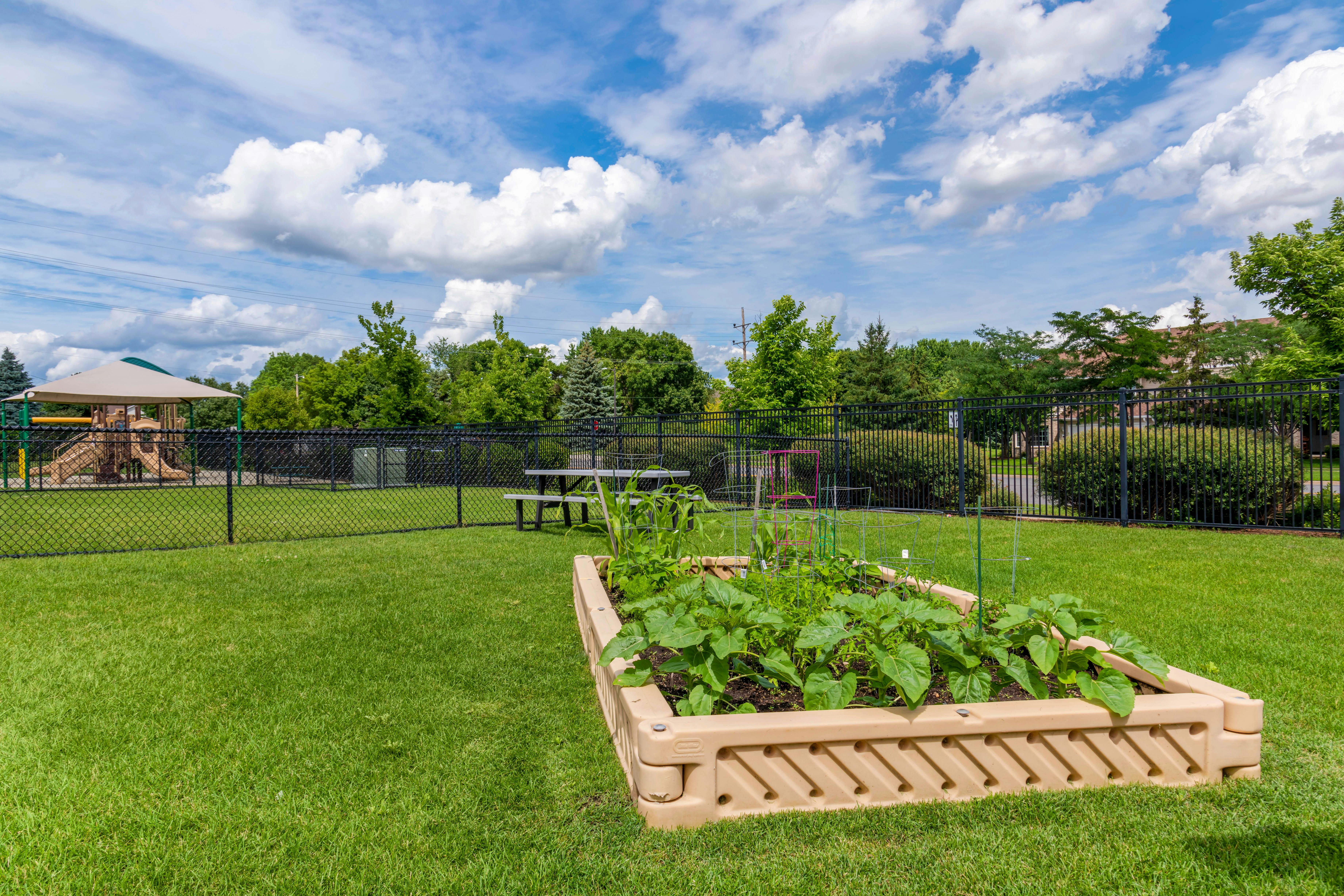 A raised garden bed with plants and tomato cages in a grassy area next to a fence
