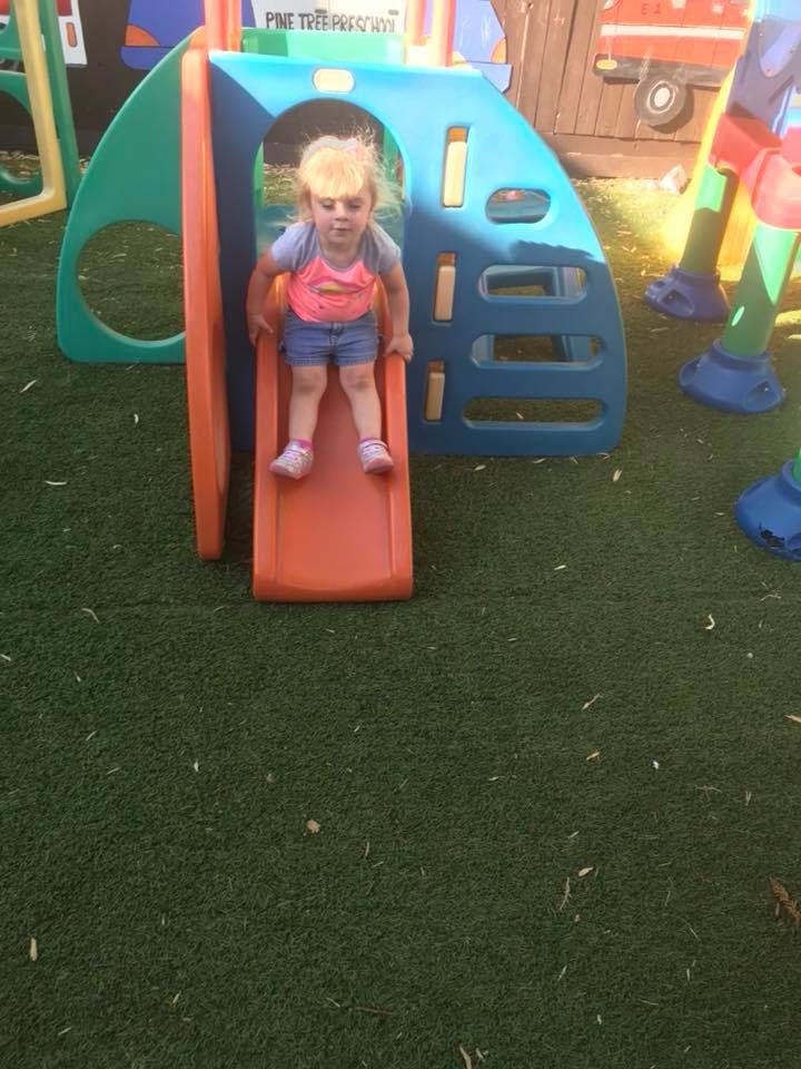 Pine Tree Preschool Preschool In Healdsburg Ca Winnie