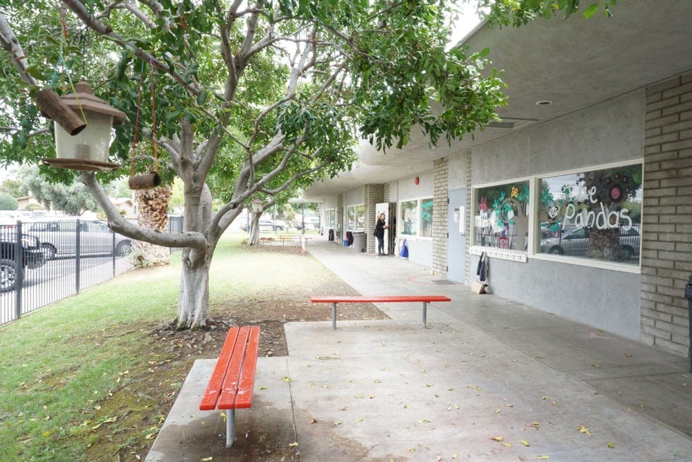 Bird feeder and squirrel feeder hanging from a tree next to a building with red benches