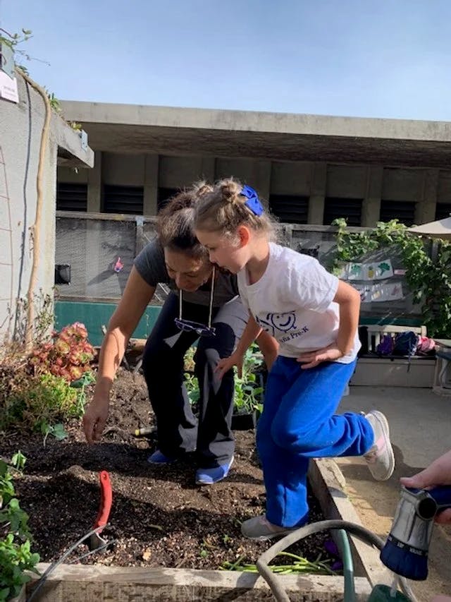Adult and child looking at plants in a raised garden bed