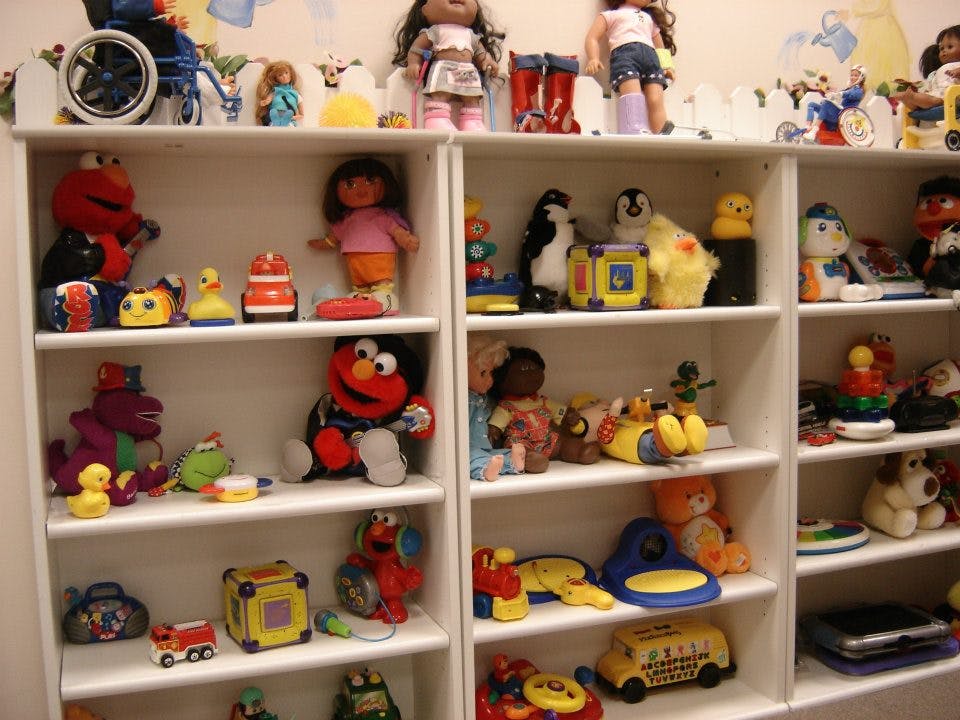 Shelves filled with various toys, including dolls, stuffed animals, and blocks