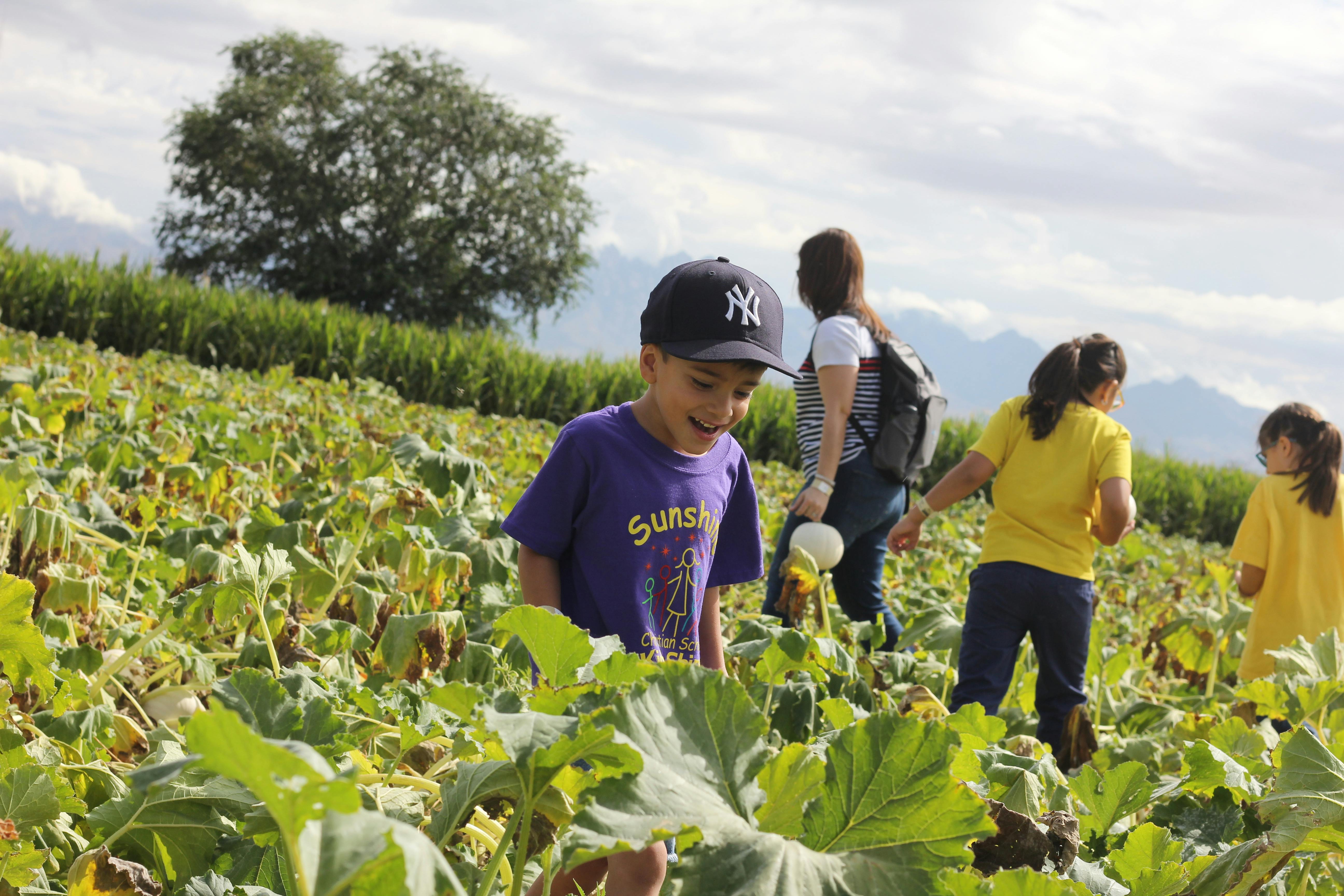 Child in a baseball cap and purple shirt in a field with other people
