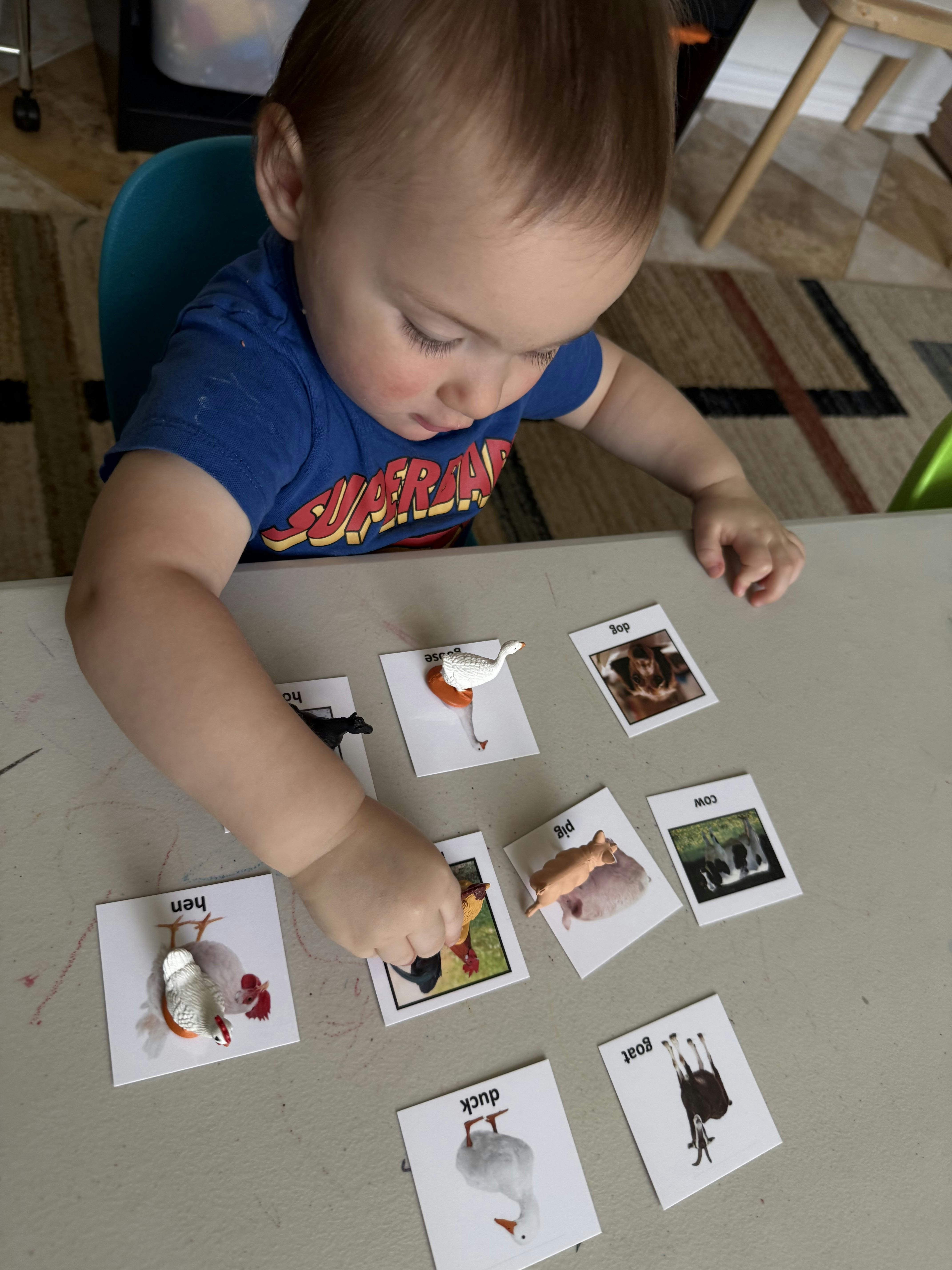 Child matching animal figurines to picture cards