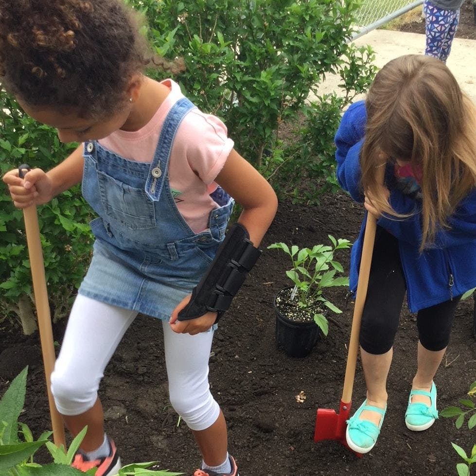 Two children digging in soil with gardening tools