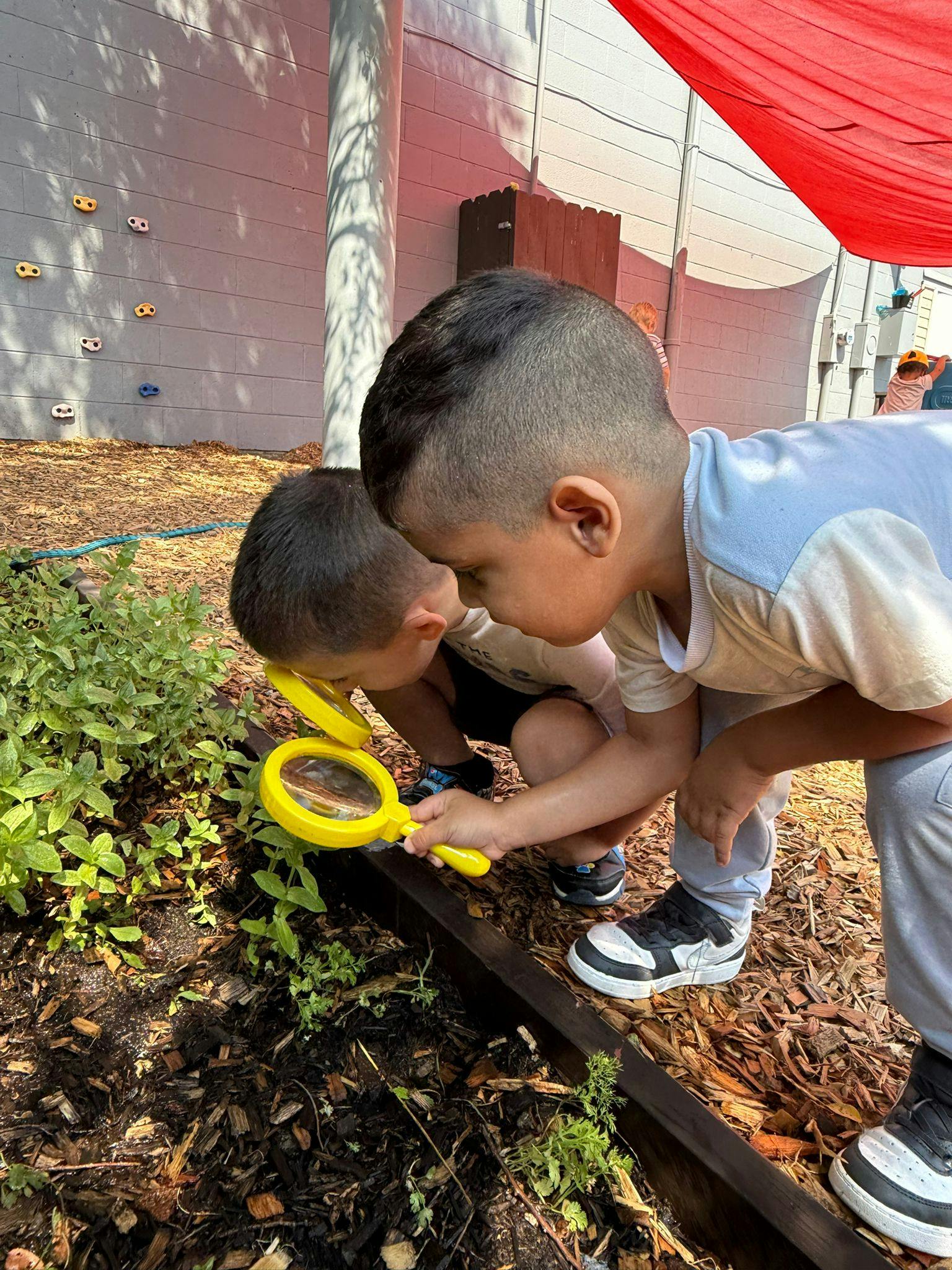 Two children looking at plants with a magnifying glass