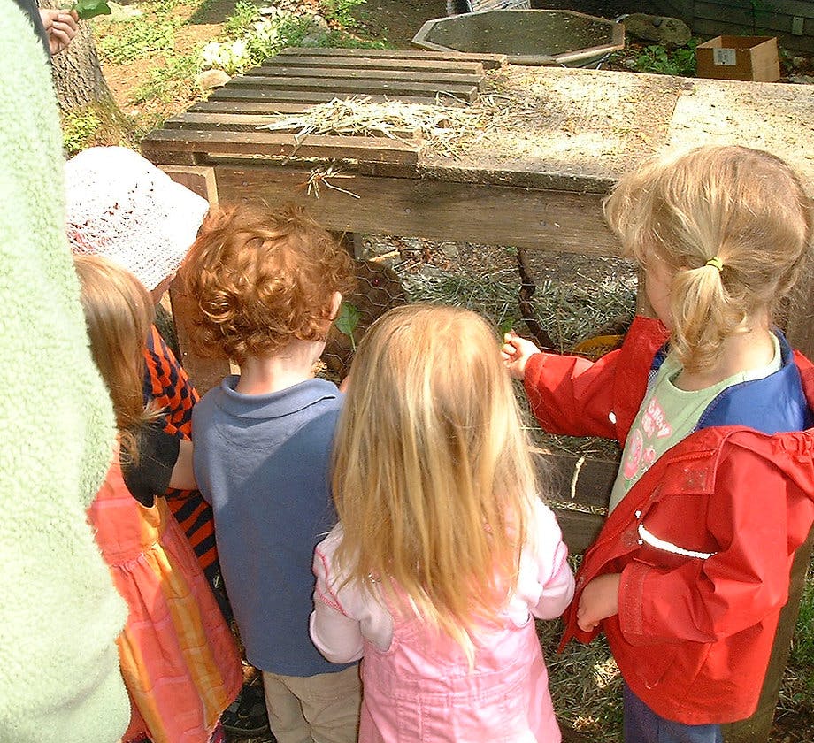 Children looking into a wooden structure with hay