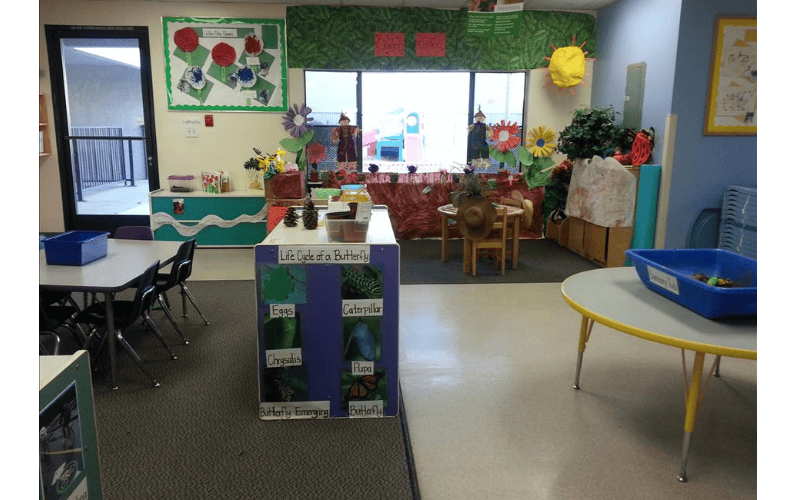 Classroom decorated with crafts including a butterfly life cycle display