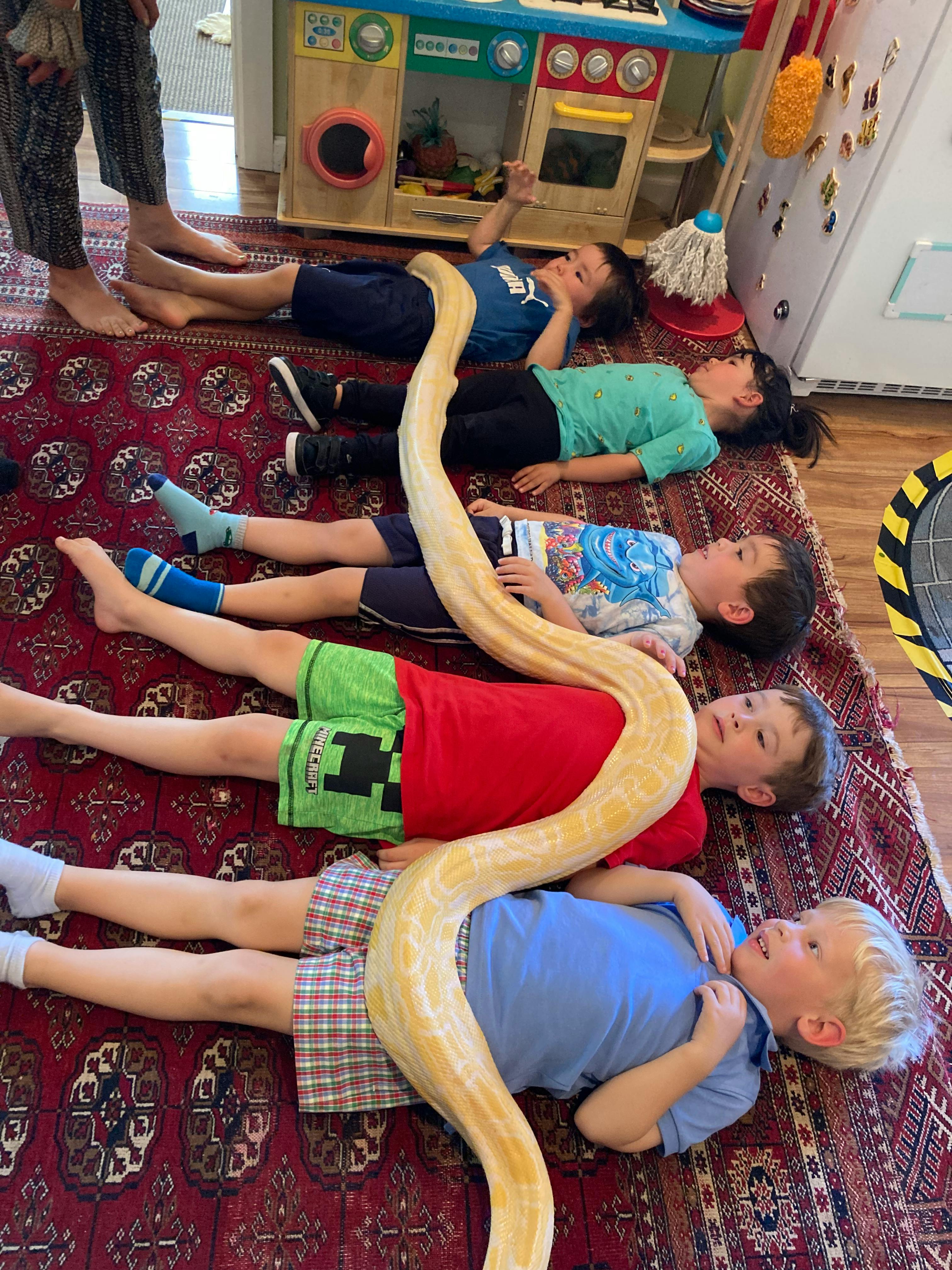 Children lying on a rug with a large snake on top of them