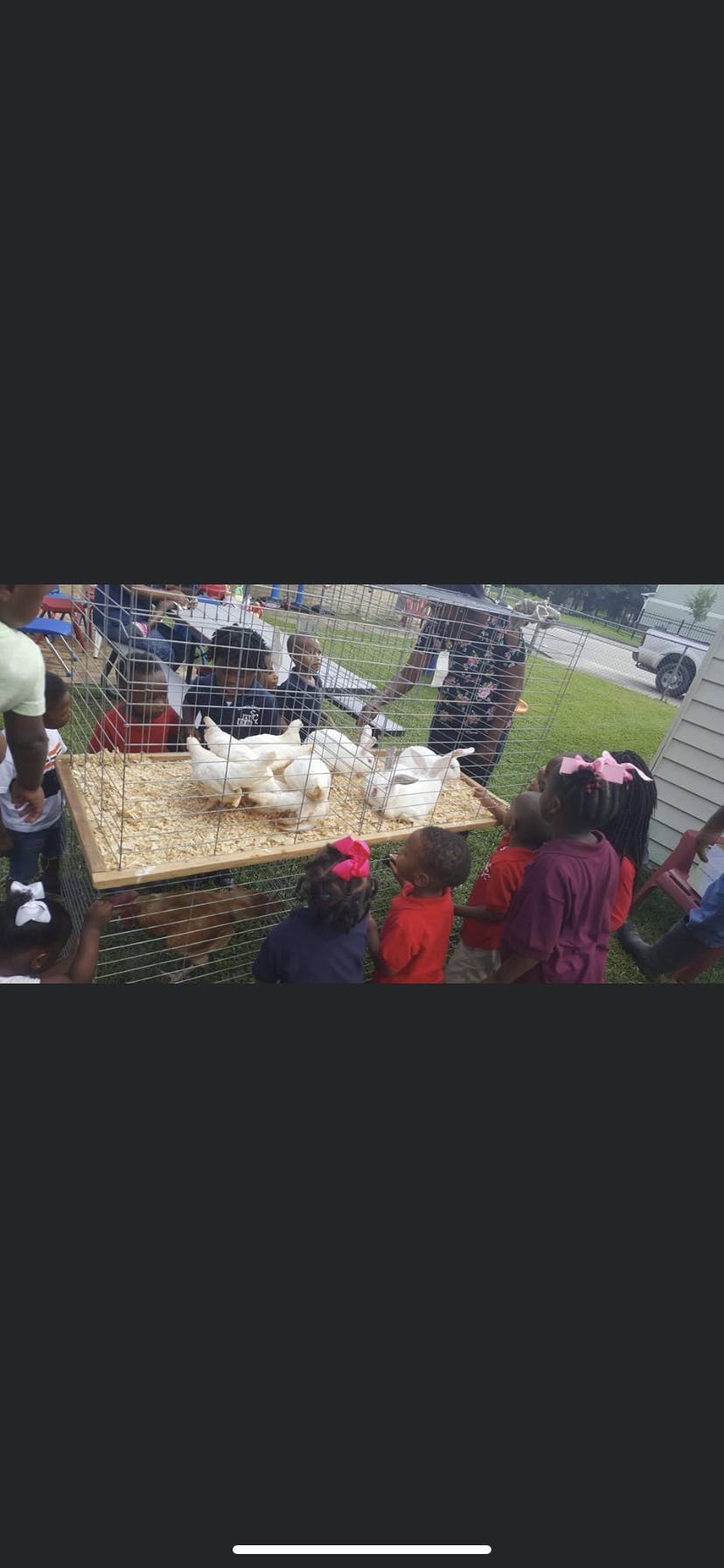Children looking at white ducks in a cage