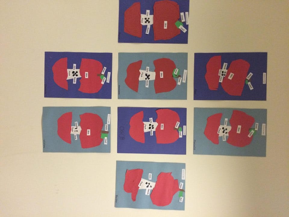 Seattle Infant Development Center & Preschool Preschool in Seattle