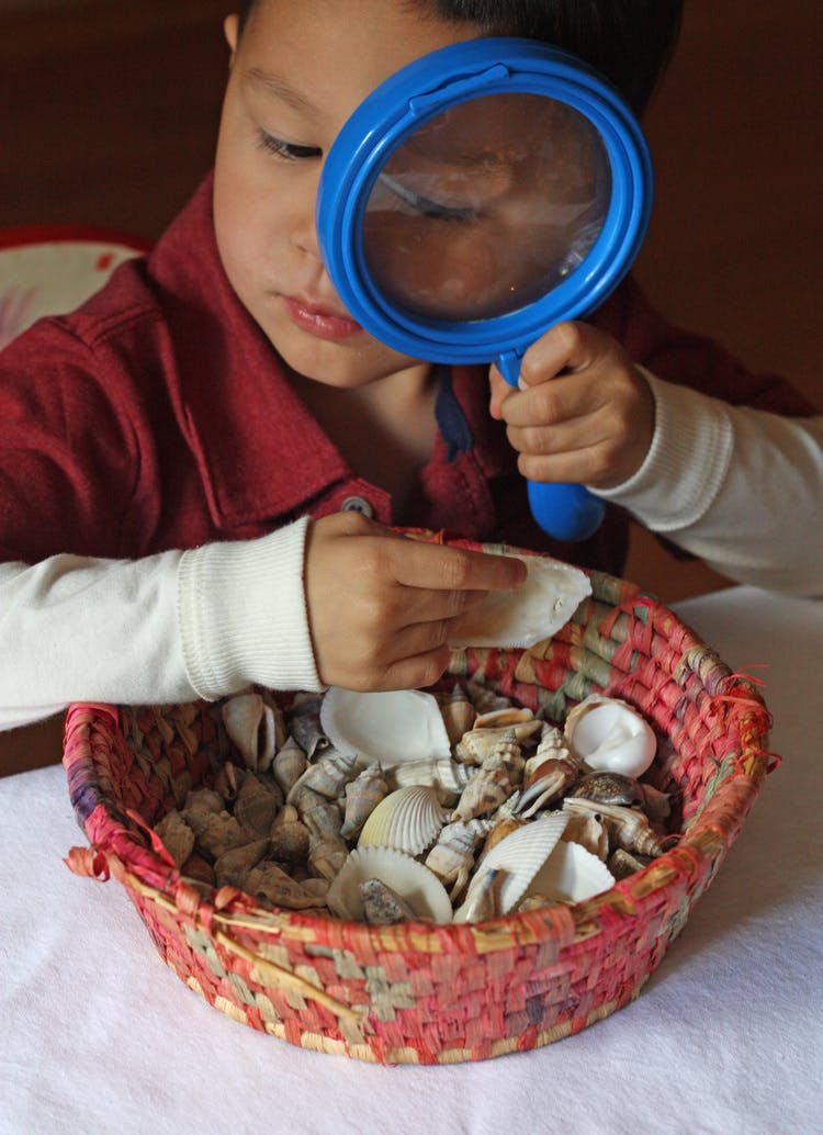 Child looking through a magnifying glass at seashells in a basket
