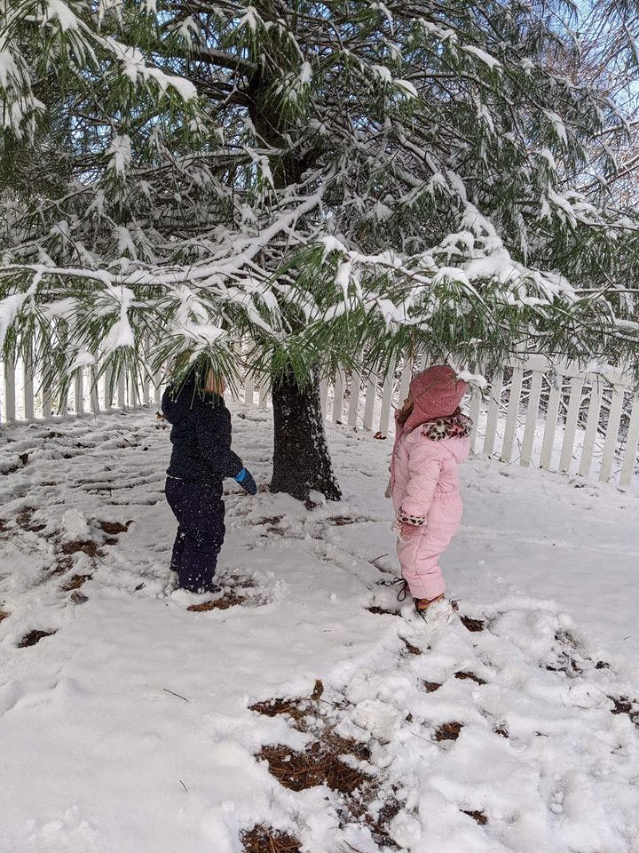 Two children standing in snow under a snow-covered tree