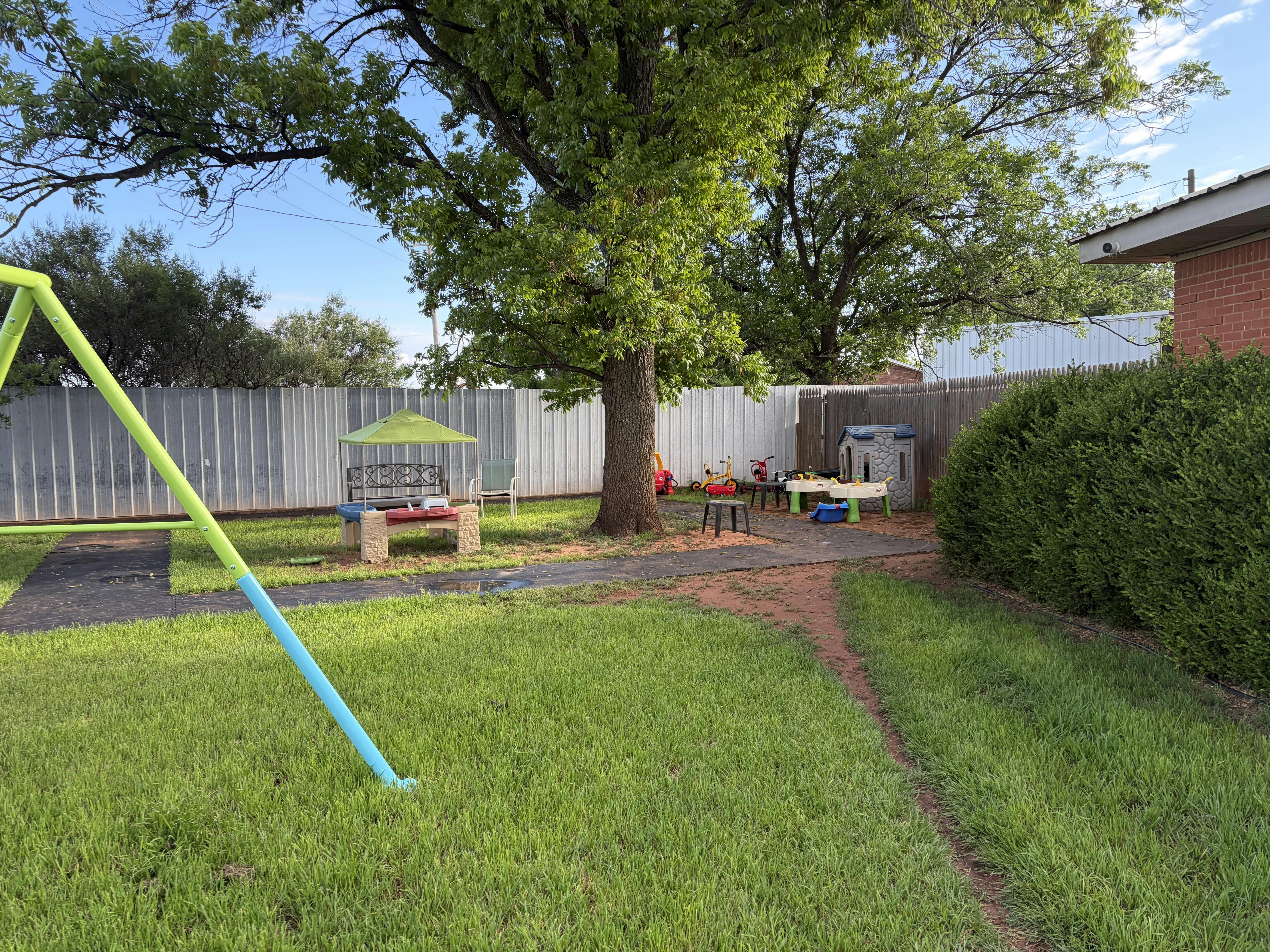 Backyard playground with toys and a tree