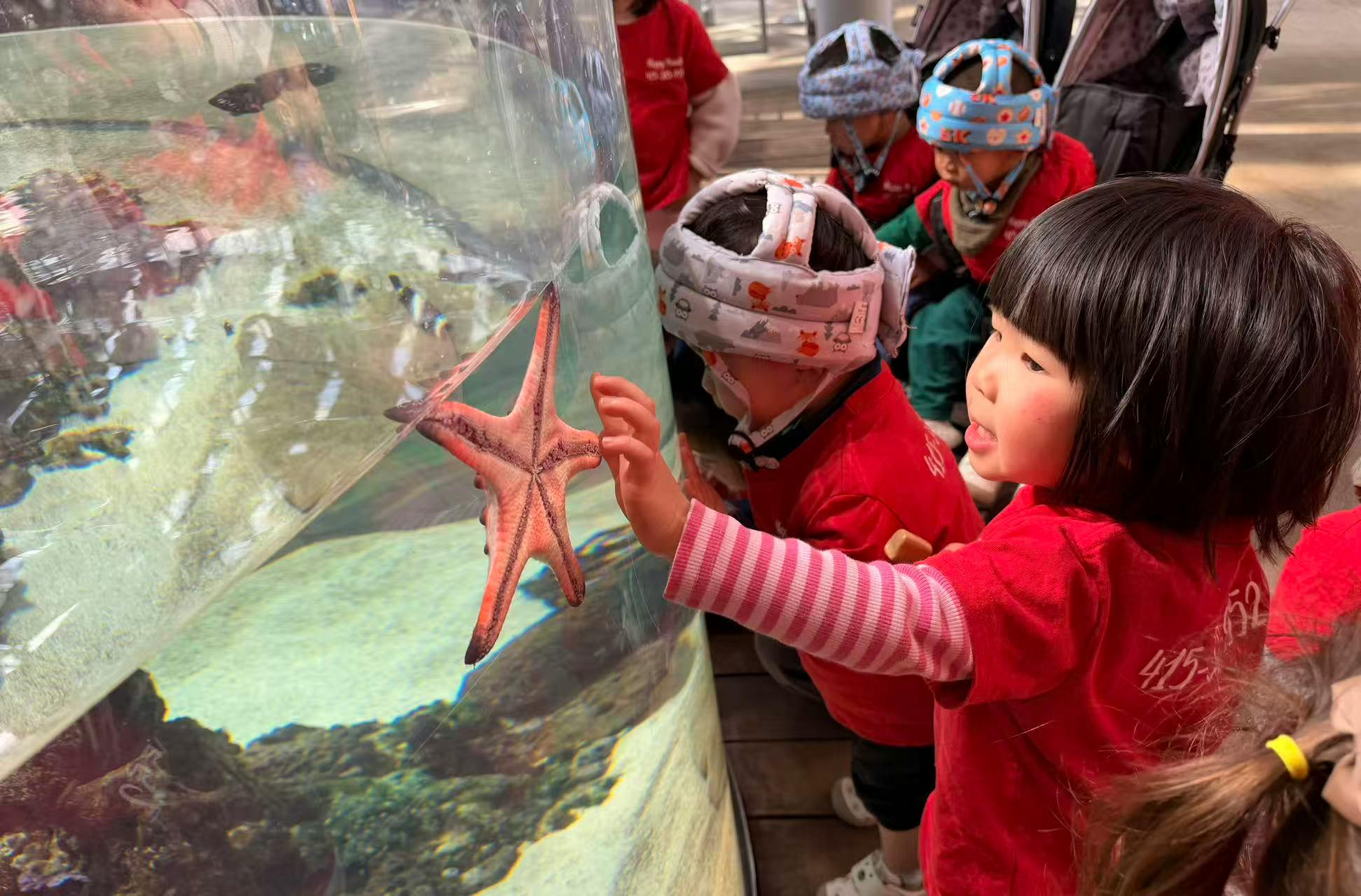 Child touching a starfish in an aquarium