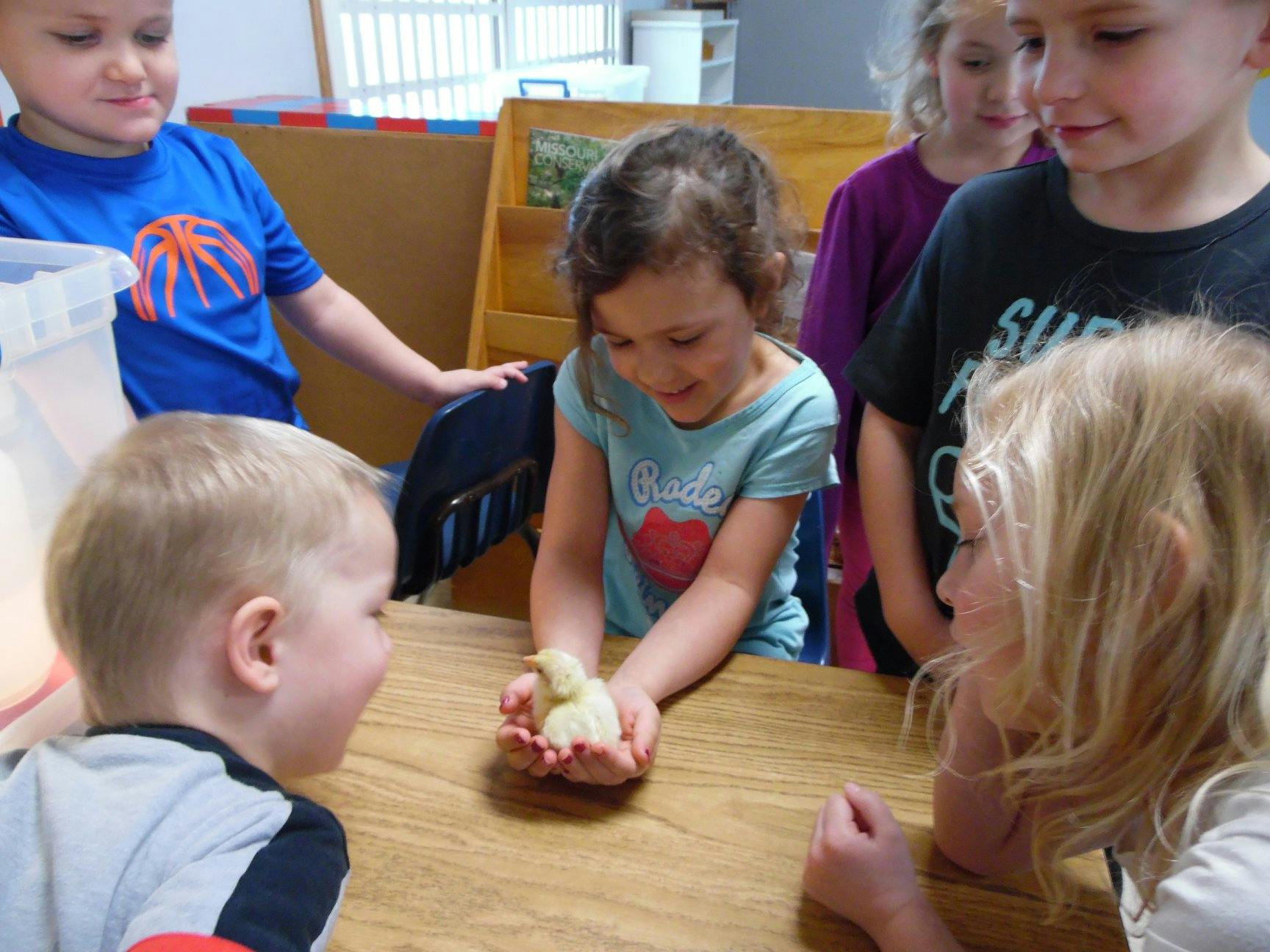 Eldon Montessori Children�s House Daycare in Eldon, MO