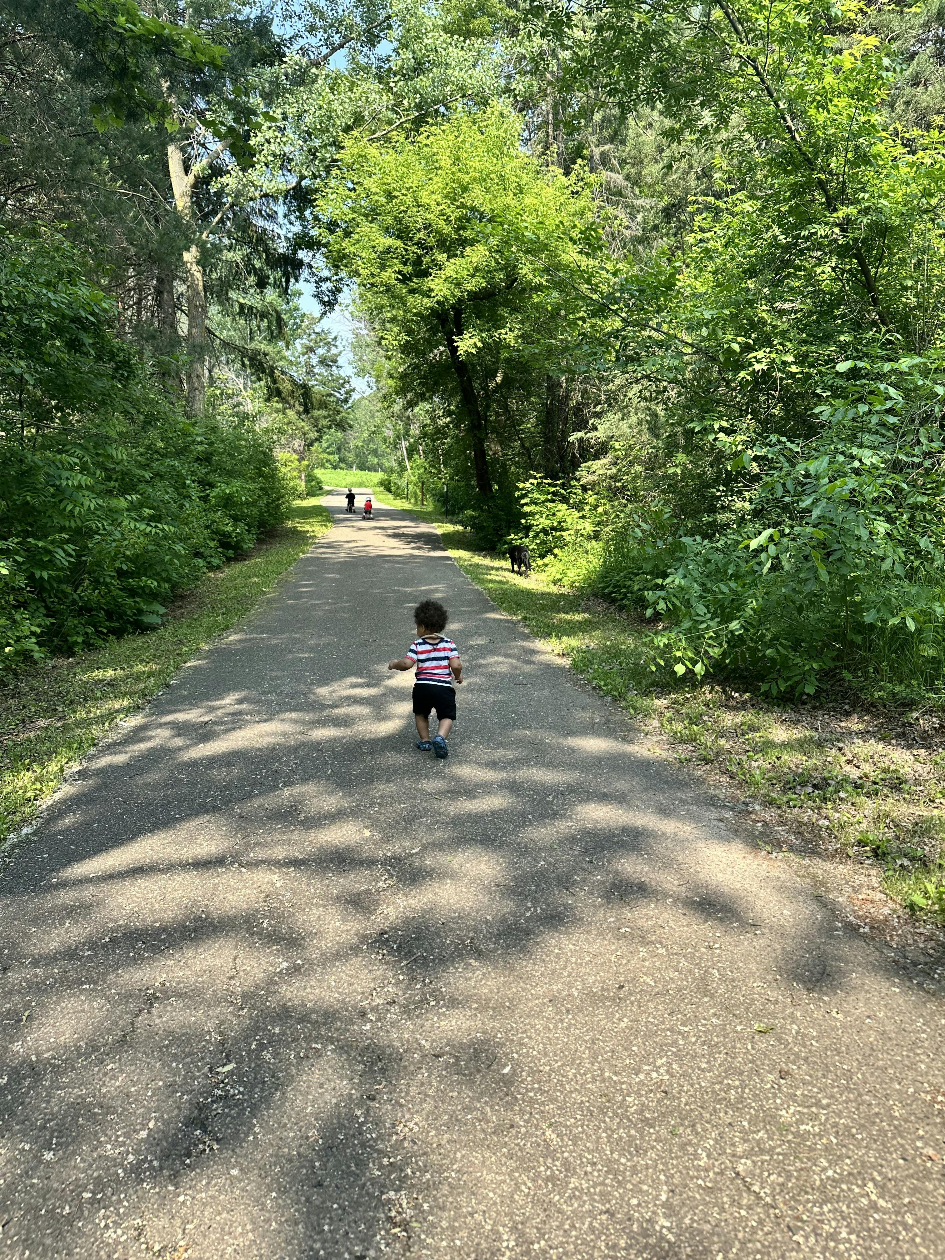 Child walking on a path surrounded by trees and bushes