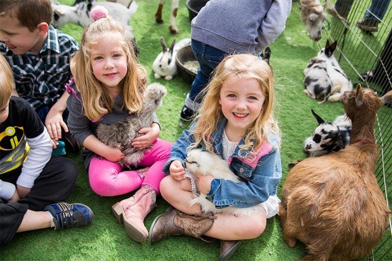 Two children holding small animals, surrounded by other animals